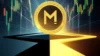 Meme Coin 2025: Cơ Hội Vàng Hay Bẫy Nguy Hiểm Trên Thị Trường Crypto?